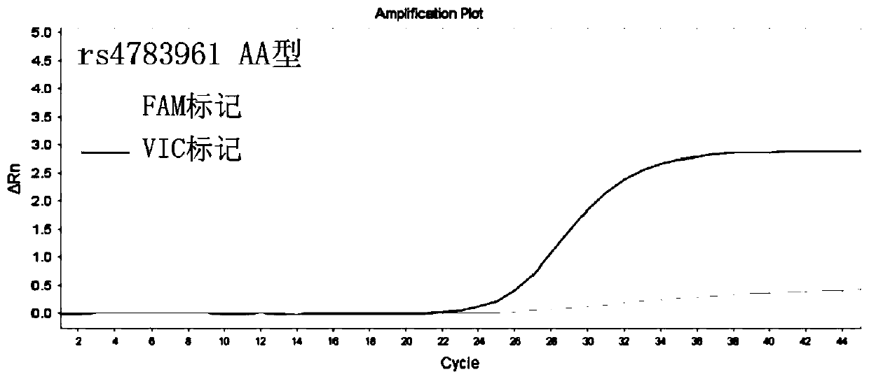 Primer probe combination for guiding detection of fluvastatin drug individualized drug use related gene, kit and application of kit