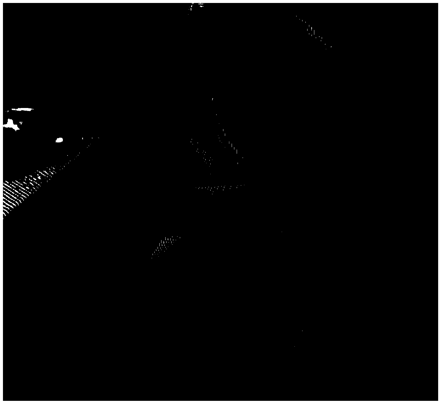 Strip wave transform image compression method based on graphics processor