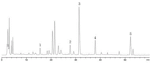 HPLC measurement method for content of multi-index components in rhizoma corydalis pain relieving drop pills