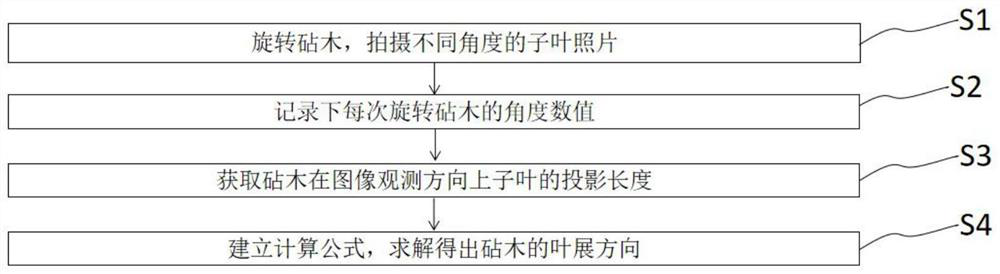 Rootstock leaf expansion direction identification method based on image processing