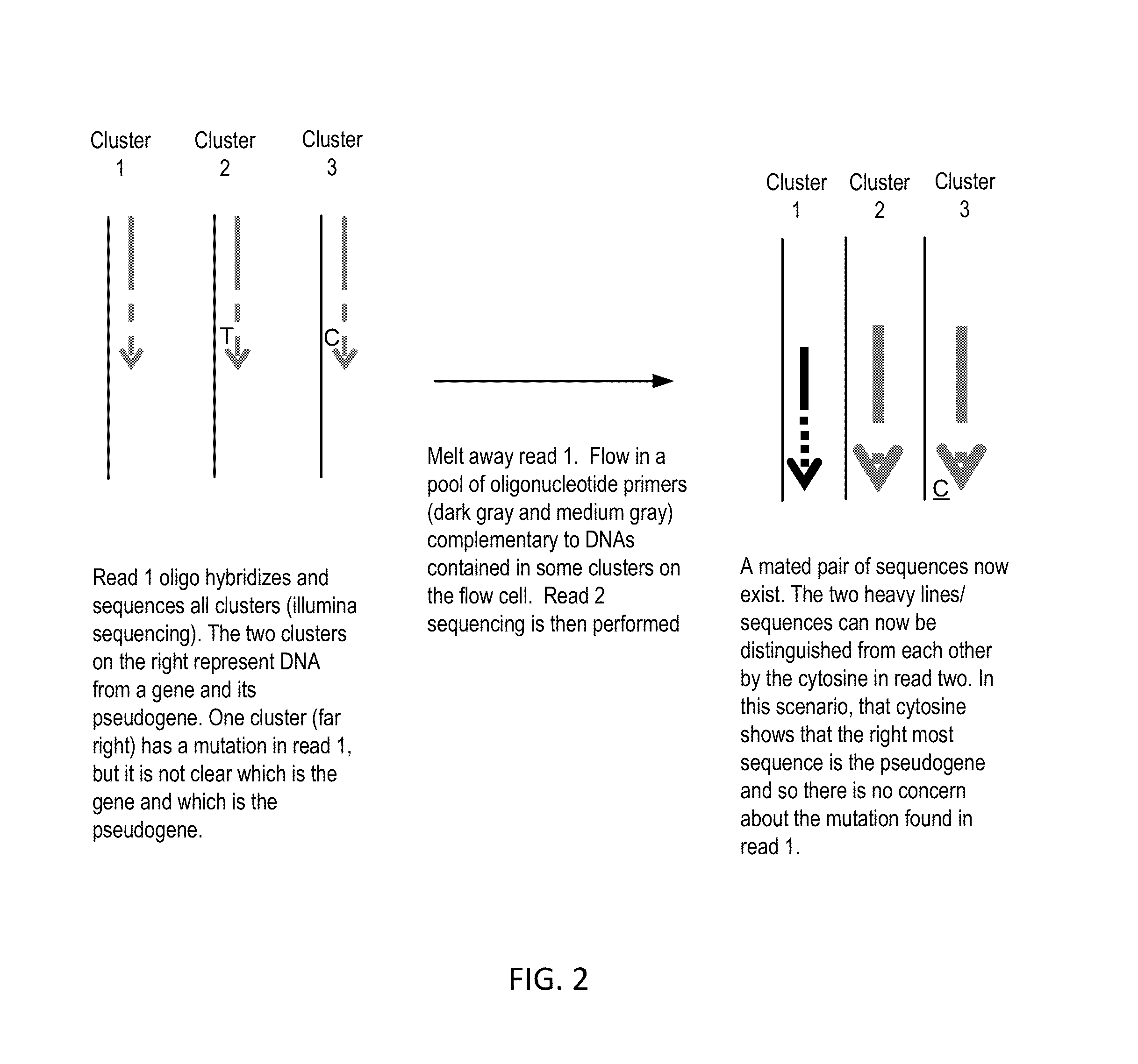 Sequential sequencing