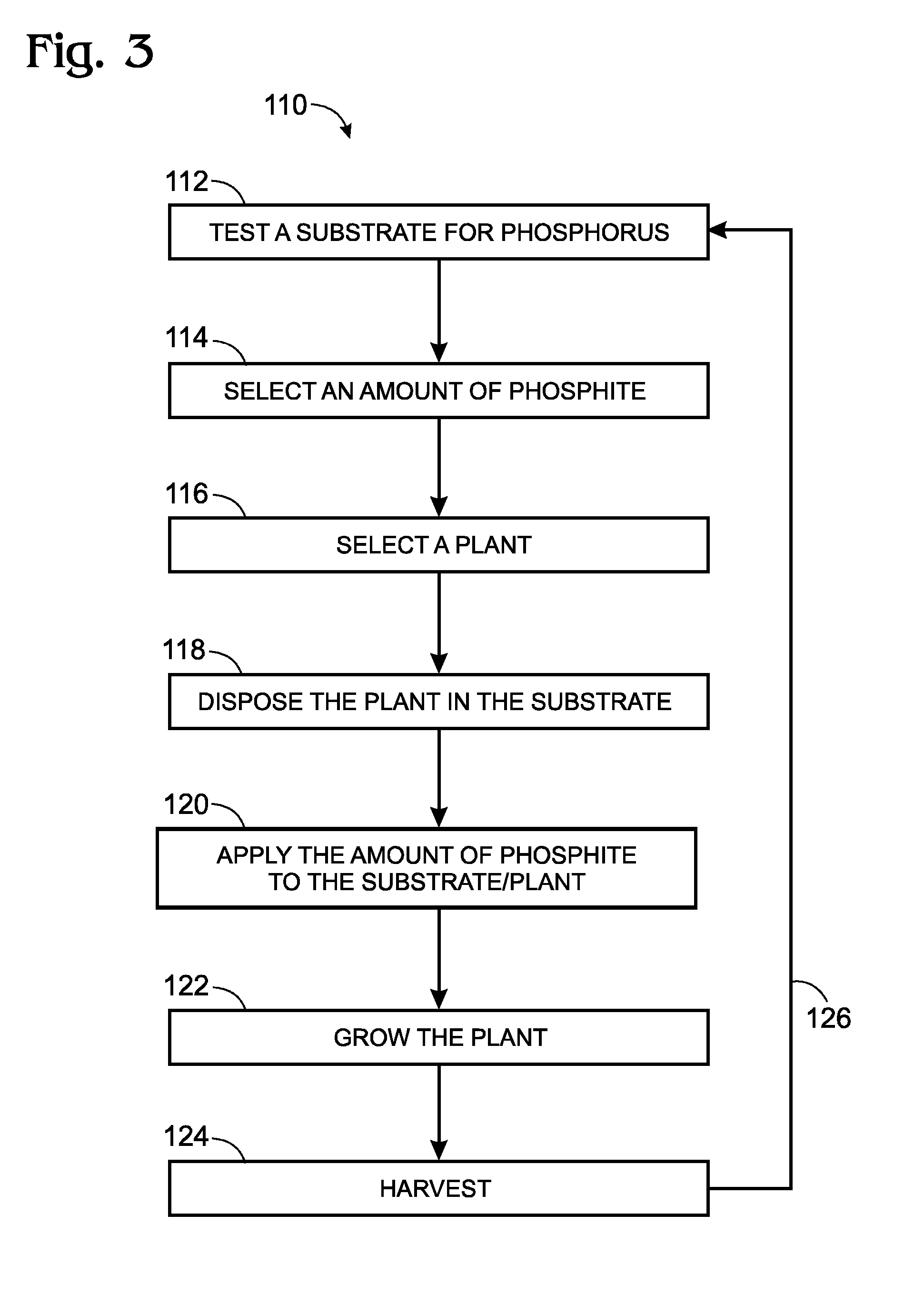 Plant cultivation system utilizing phosphite as a nutrient and as a control agent for weeds and algae