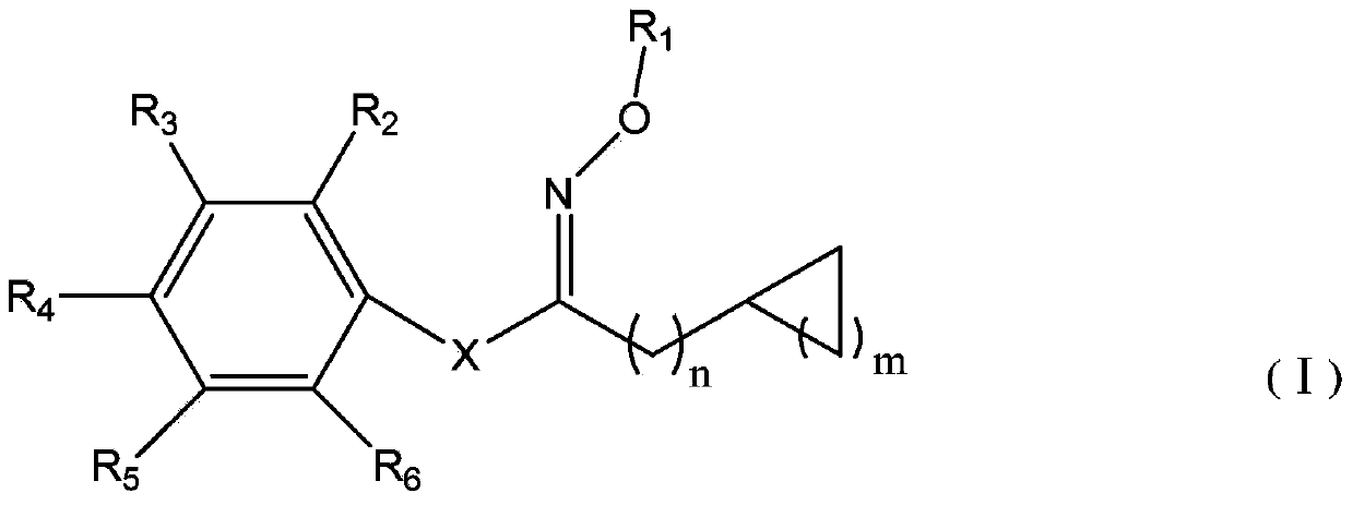 Oxime ester sulfonate type photo-acid generator