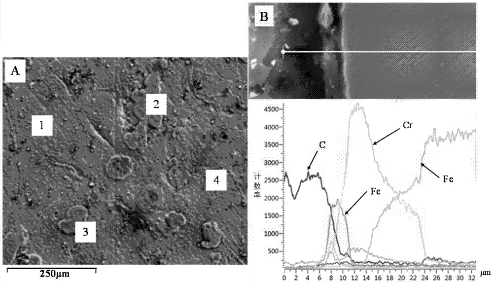 Metal base material coated with carbide coating and preparing method of metal base material