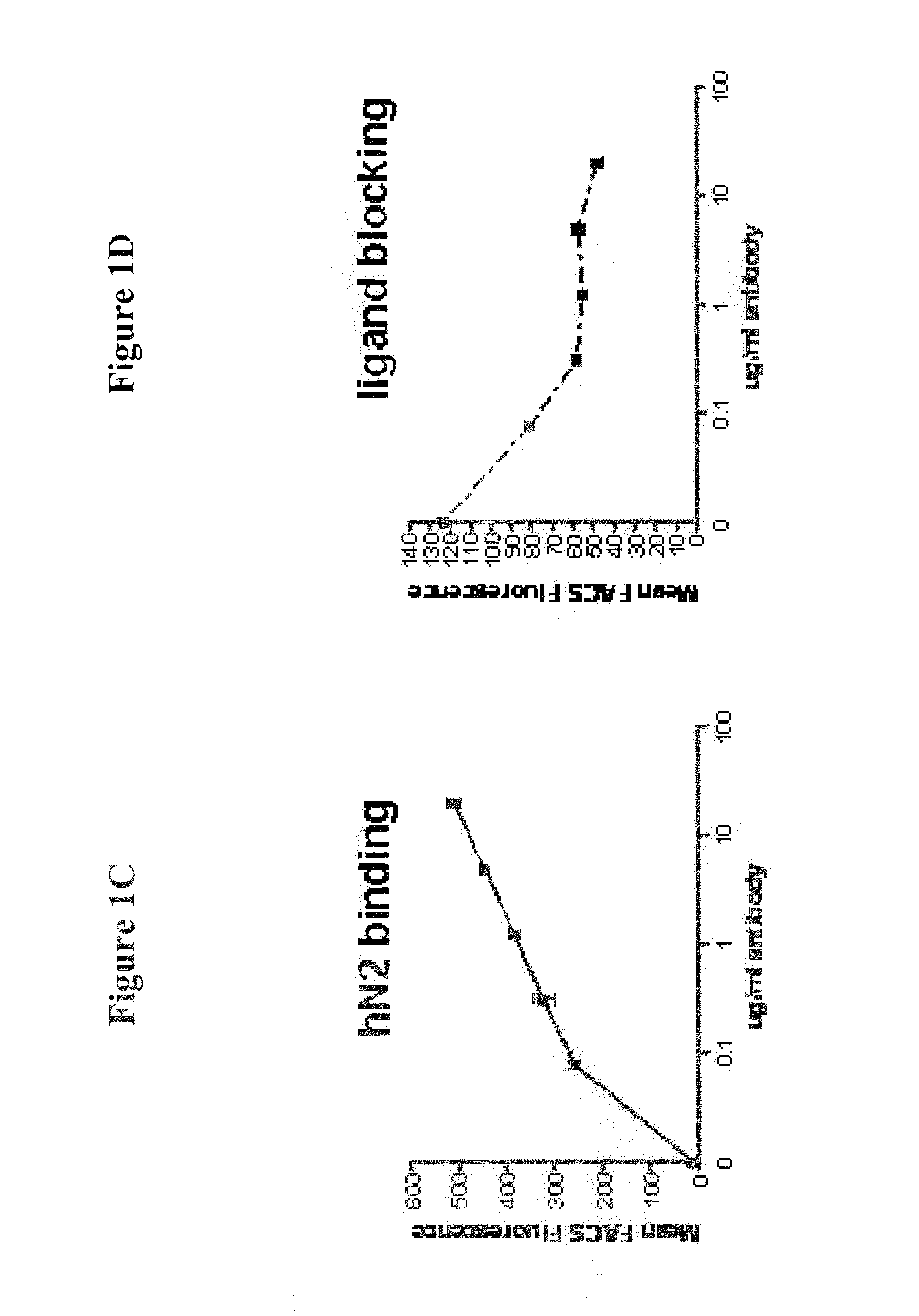 Monoclonal antibody that binds human notch2 and notch3