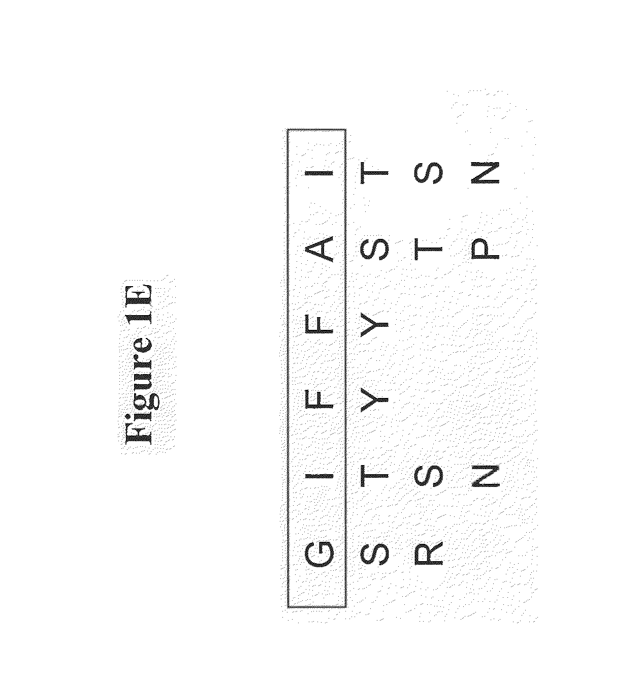 Monoclonal antibody that binds human notch2 and notch3