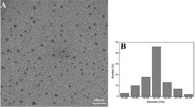 Specific porphyrin self-transport nano carrier material and preparation method thereof