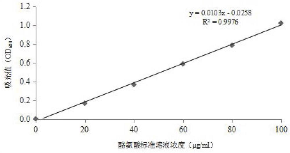 Bacillus natto and its application in the preparation of ace-inhibiting peptides from fermented scallop skirts