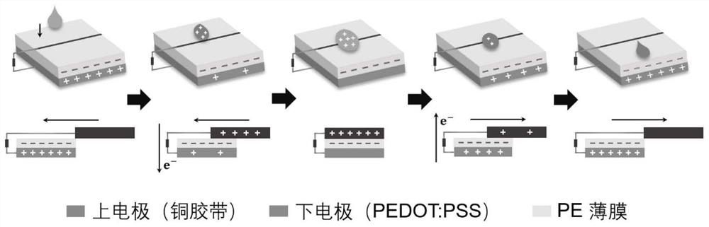 Greenhouse film-based triboelectric nanogenerator for raindrop energy collection and preparation method