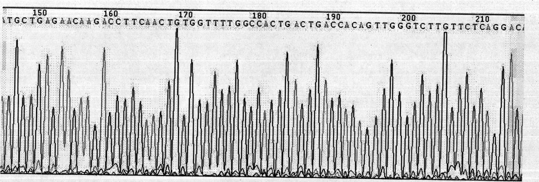 Gene expression down-regulated vector of cell specificity ndrg2