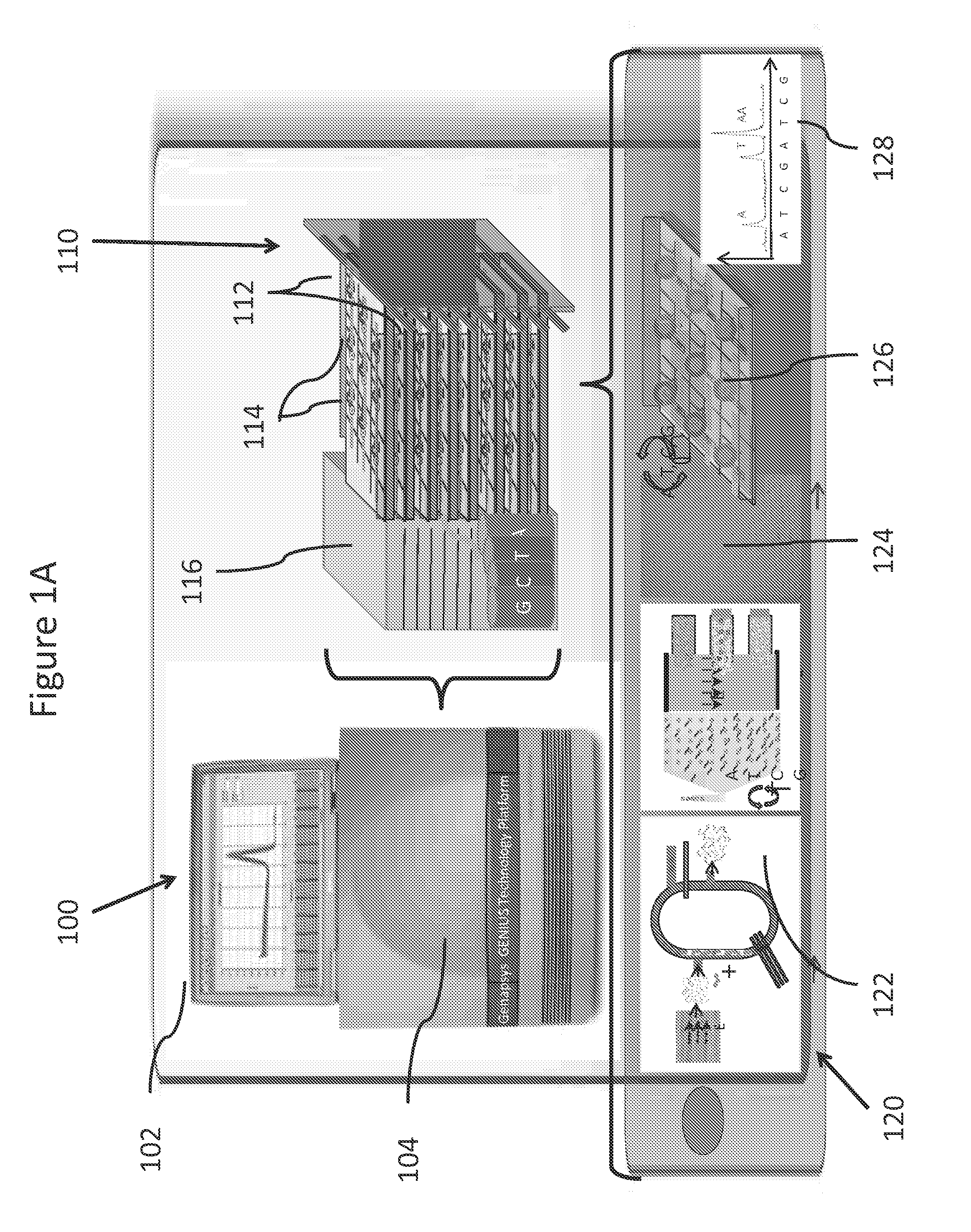 Systems and methods for genetic and biological analysis