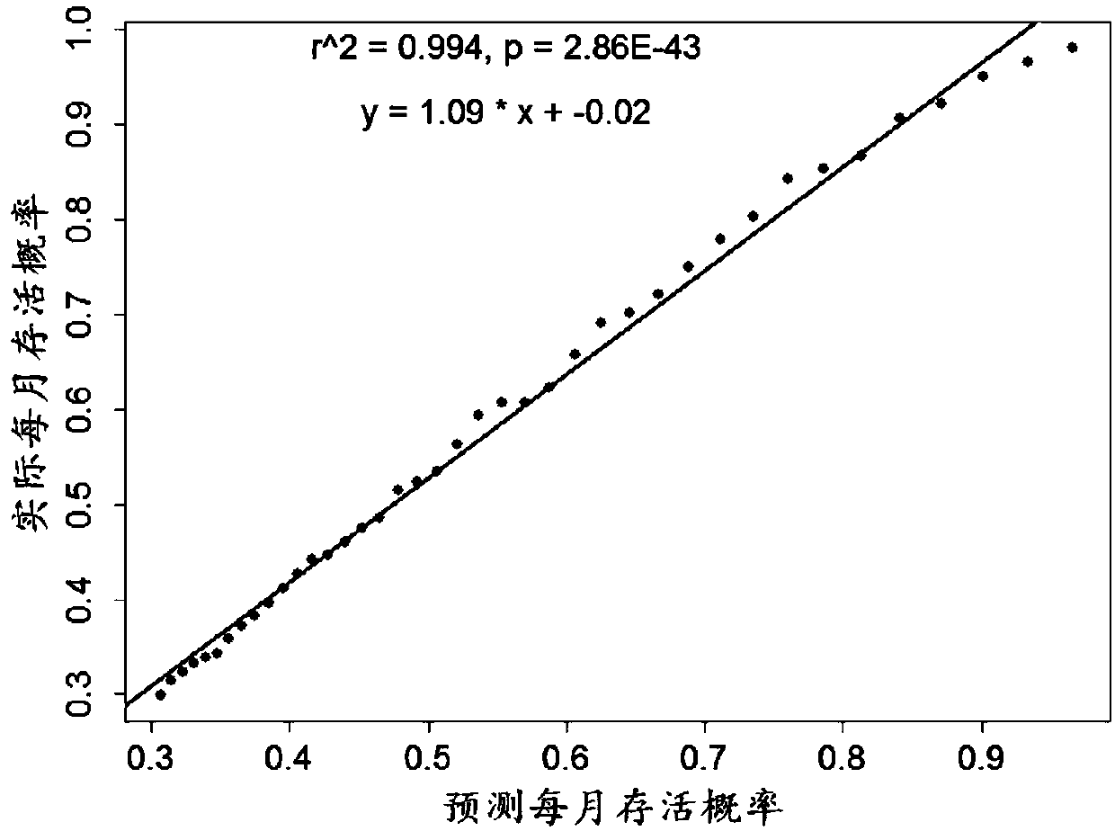 Lung adenocarcinoma individuation prognosis evaluation method based on polygene expression characteristic spectrum