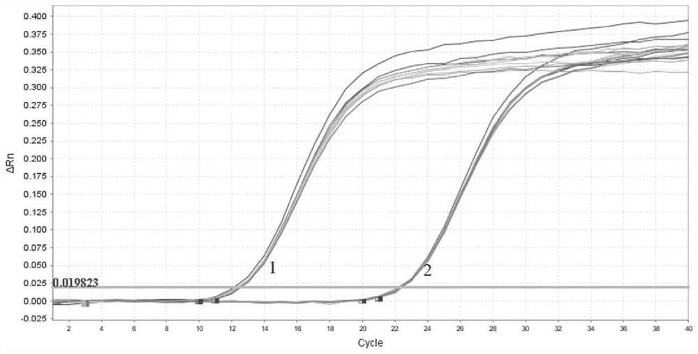 Primer probe group and kit for human leukotriene receptor CysLTR2 mRNA RT-PCR (Reverse Transcription-Polymerase Chain Reaction) detection