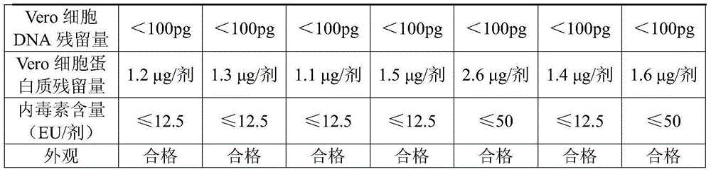 Freeze-dried rabies vaccine for humans and preparation method of vaccine