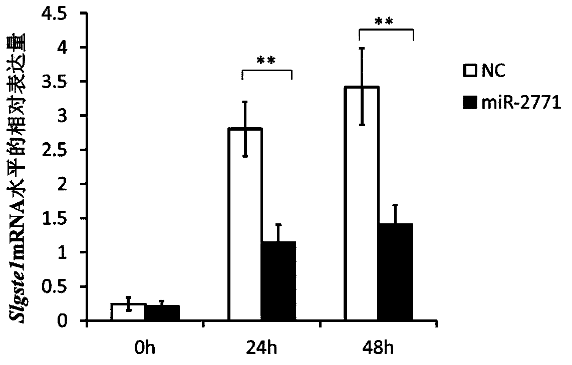 Micromolecular RNA and application to pest control thereof