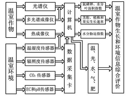 Detecting method for greenhouse crop growth information and environment information based on multi-sensor information