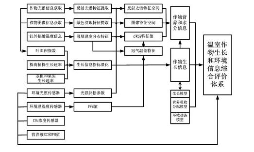 Detecting method for greenhouse crop growth information and environment information based on multi-sensor information