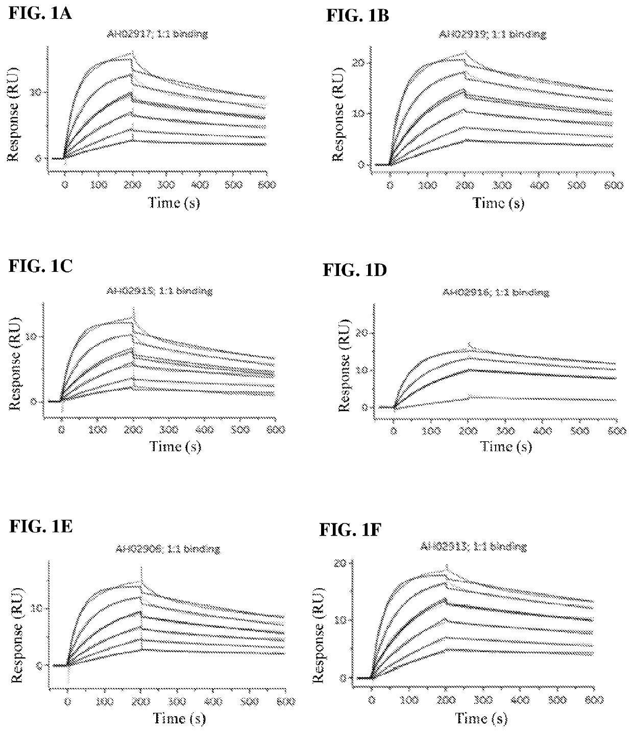 Humanized Anti-human ox40 monoclonal antibody, preparation method therefor and use thereof