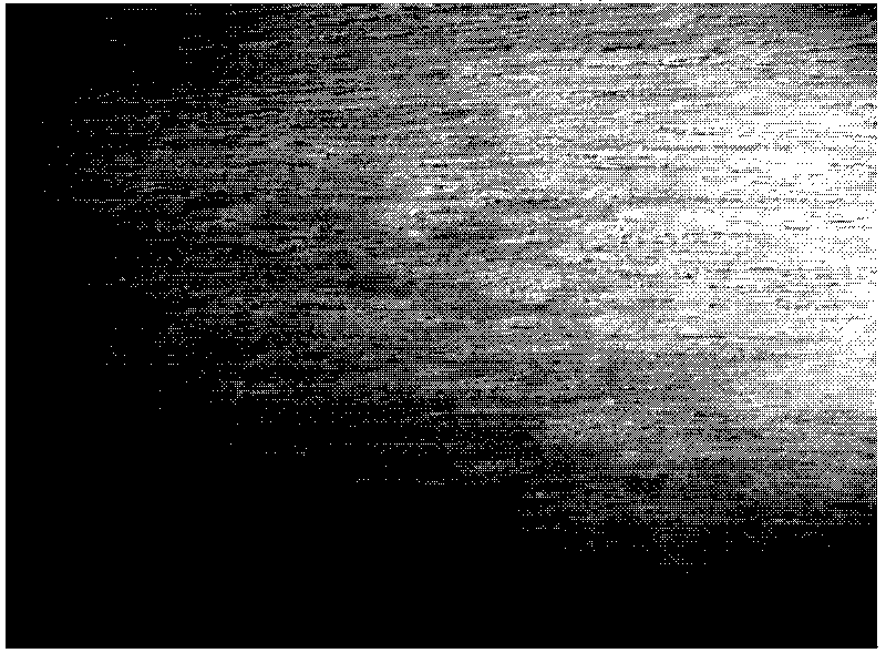 Method of in situ growth of nano titanium dioxide protective layer on wood surface