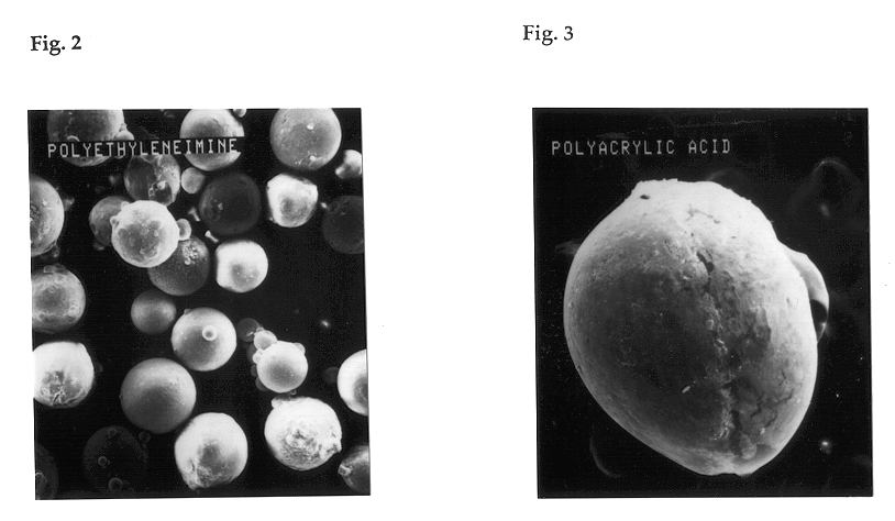 Crosslinked polymer particle and its production process and use