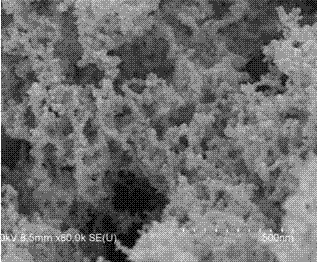 Method for preparing Pd catalyst with three-dimensional nano meshy structure by reduction of nitrile rubber precursor