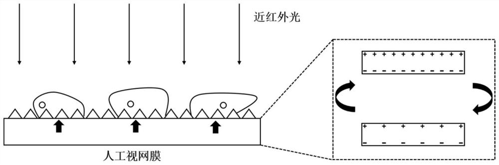 Near-infrared super-vision flexible artificial retina and manufacturing method thereof