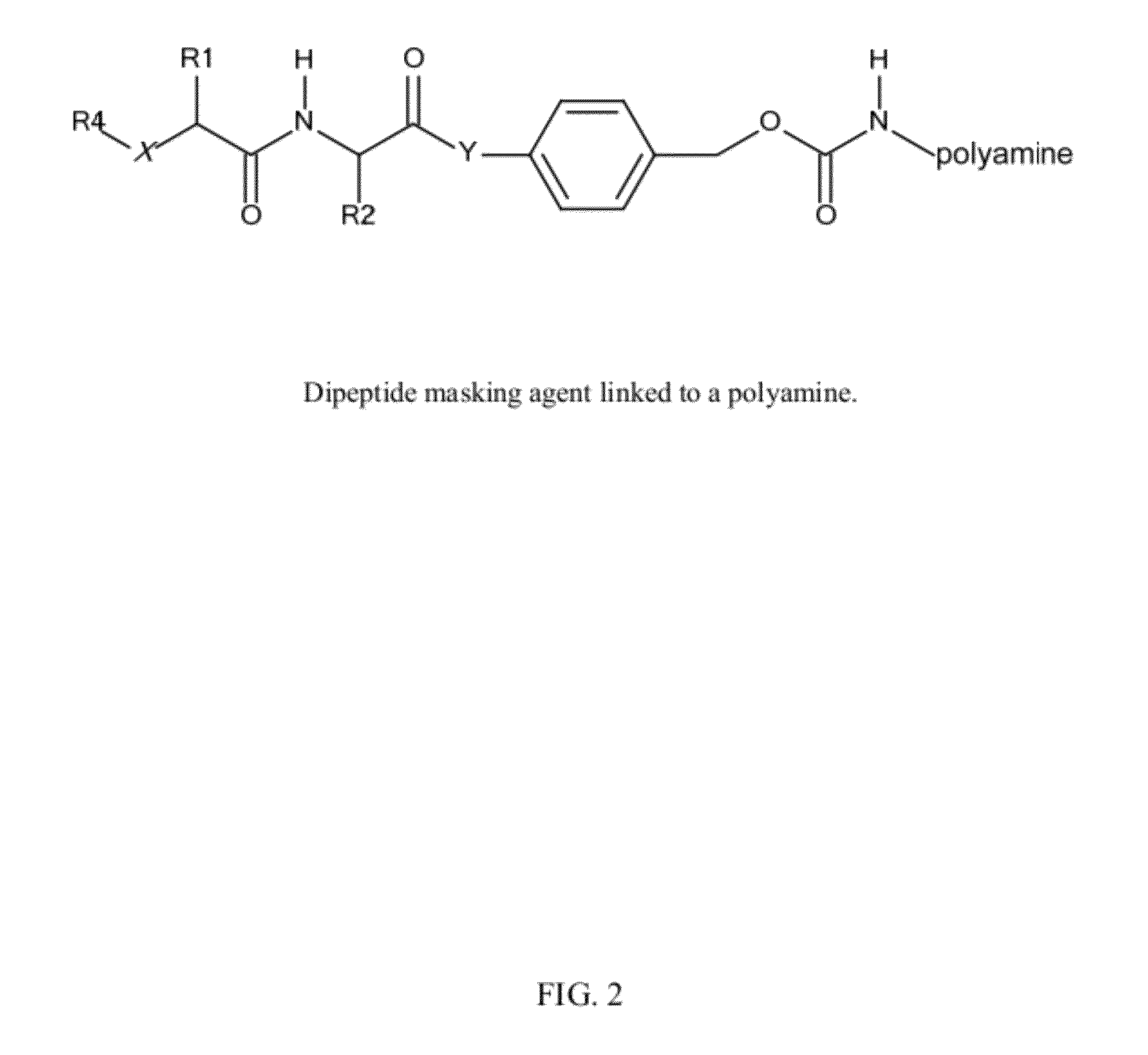 In vivo polynucleotide delivery conjugates having enzyme sensitive linkages