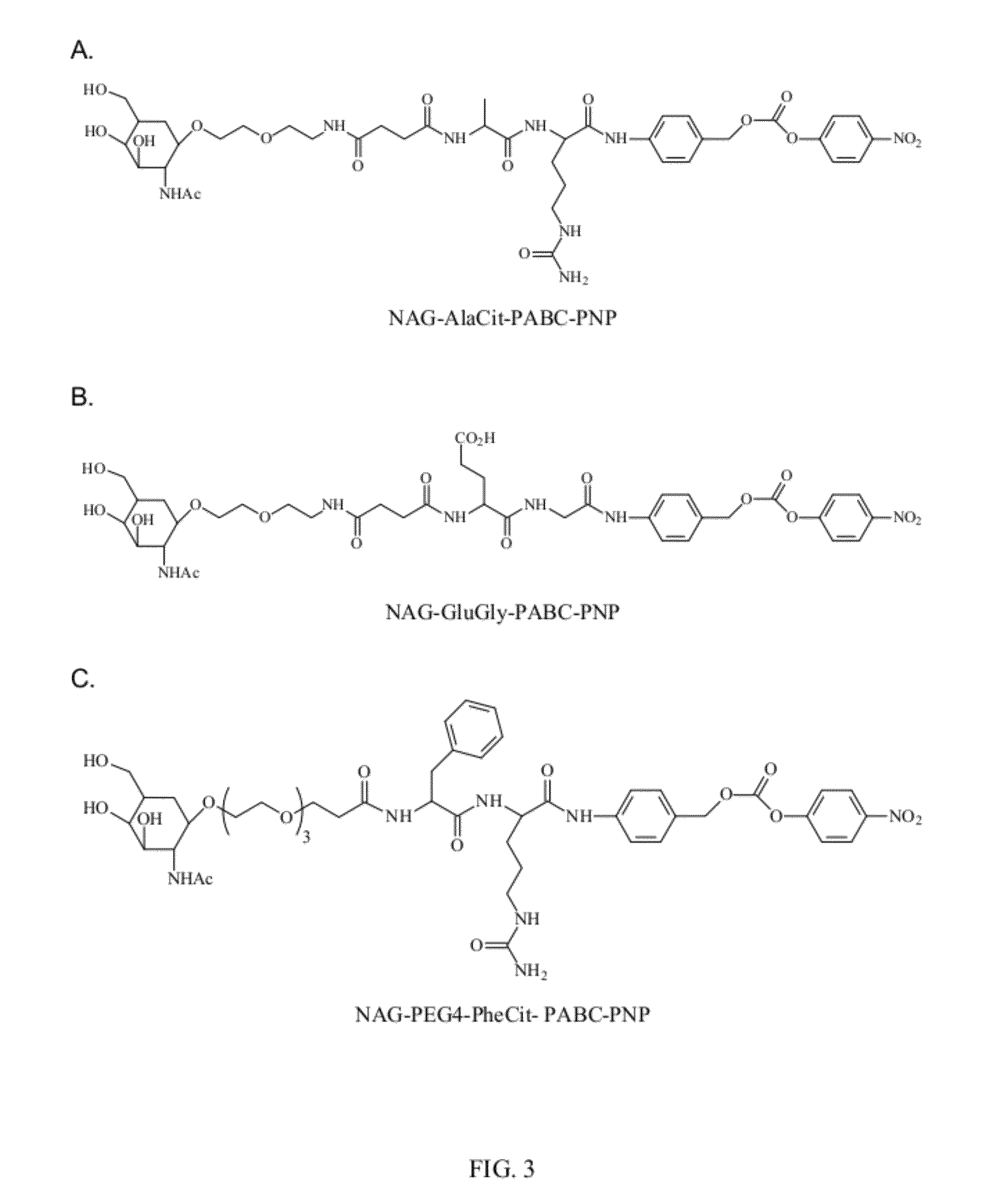 In vivo polynucleotide delivery conjugates having enzyme sensitive linkages