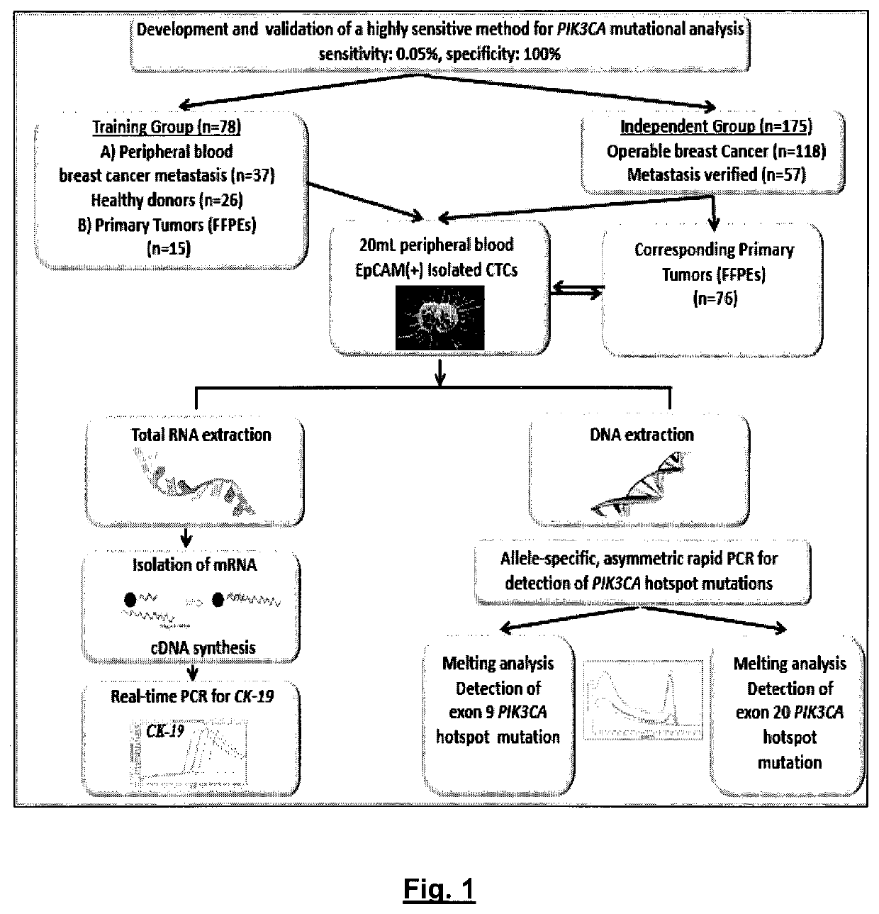 Method of determining PIK3CA mutational status in a sample