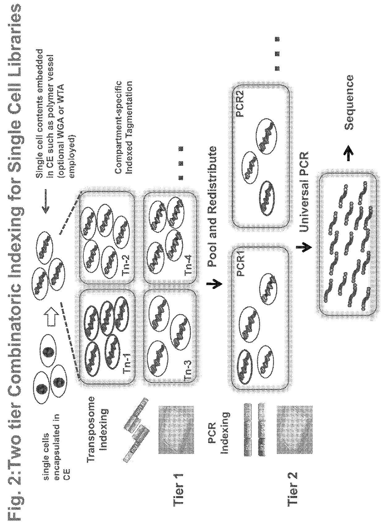 Methods and compositions for analyzing cellular components