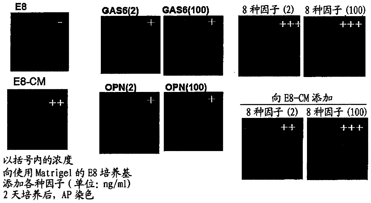 Cell culture medium and culture method using same