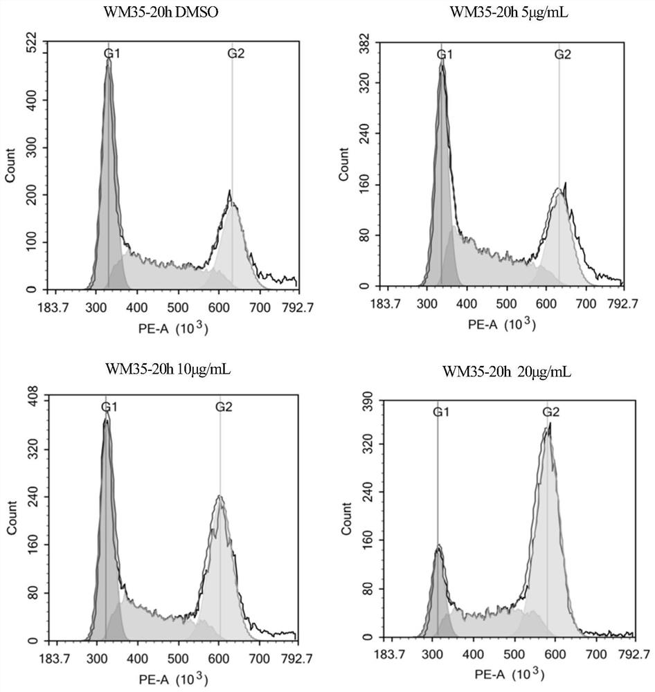 Application of Miao medicine Liaoshi Huafengdan in the preparation of drugs for preventing and treating melanoma