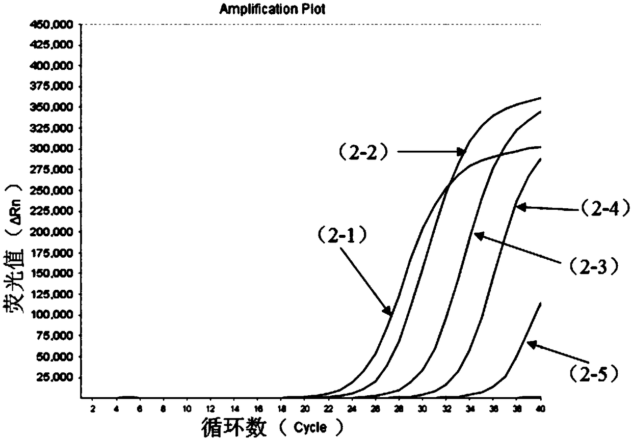 Nucleic acid composition for detecting four enteroviruses simultaneously and kit and detection method