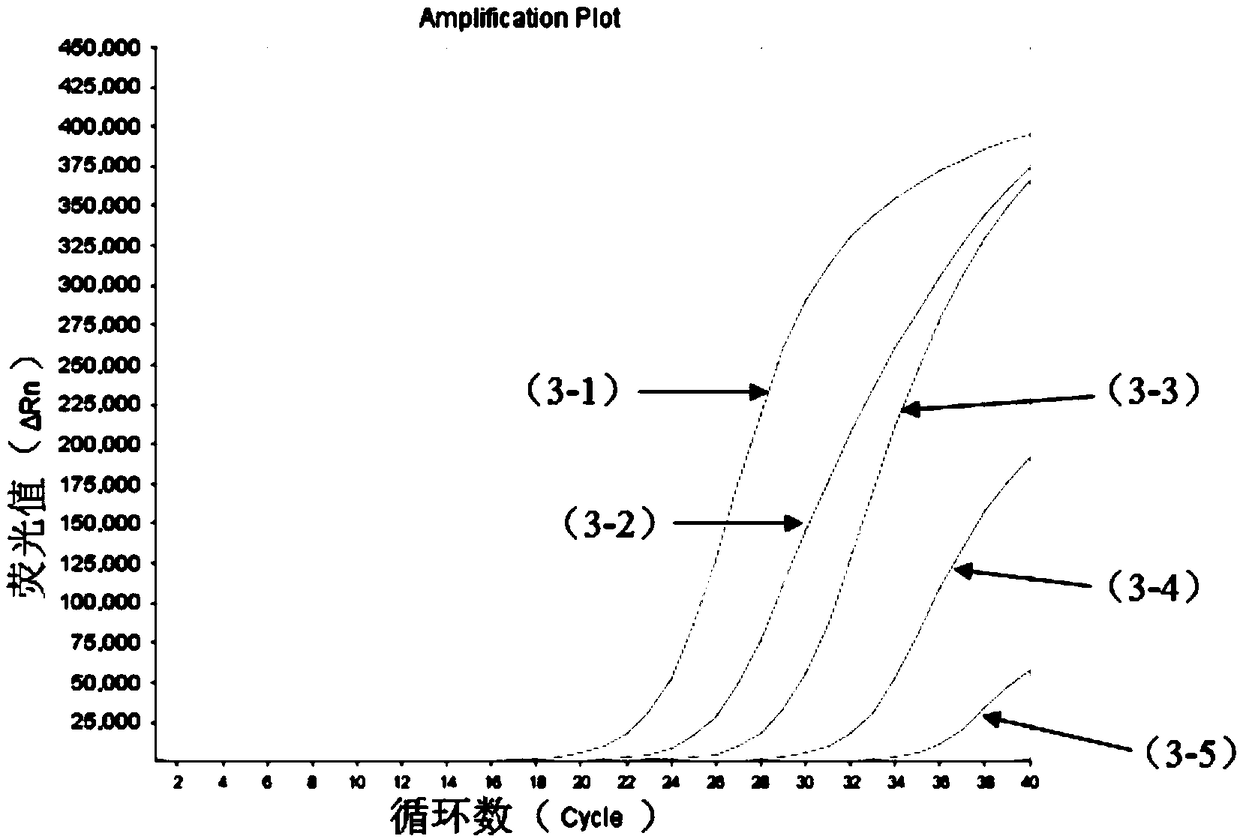 Nucleic acid composition for detecting four enteroviruses simultaneously and kit and detection method