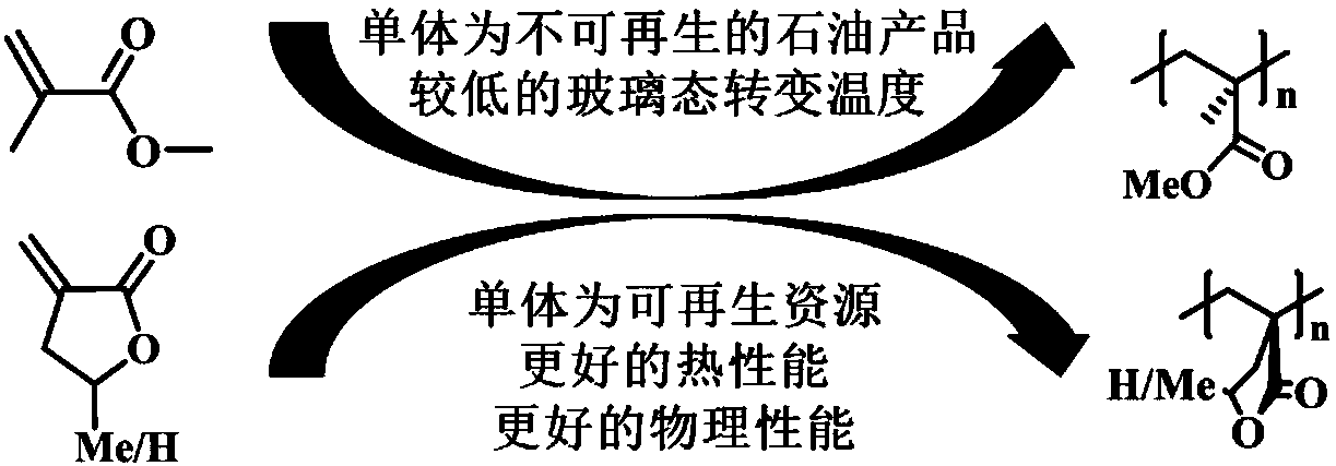 Activity-controllable (gamma-methyl)-alpha-methylene-gamma-butyrolactone polymerizing method