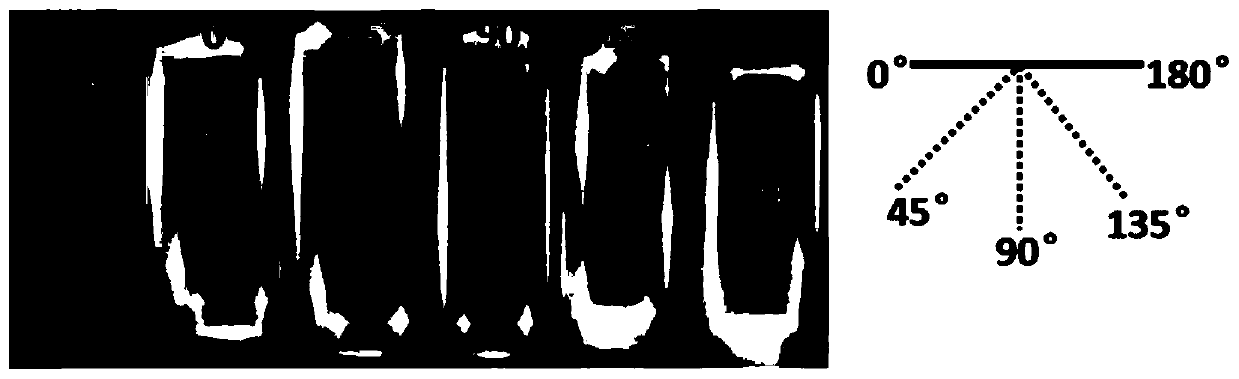 Preparation method of foldable thermochromic device based on nanowire film