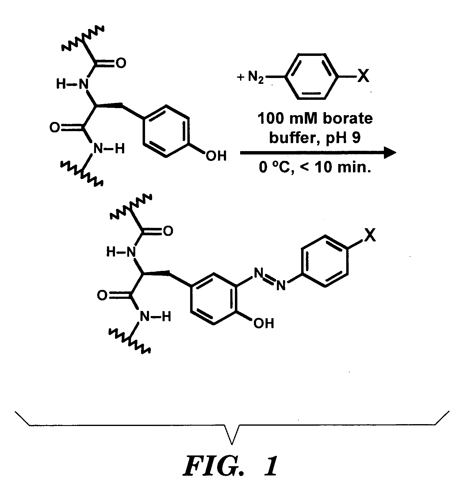 Diazonium salt modification of silk polymer