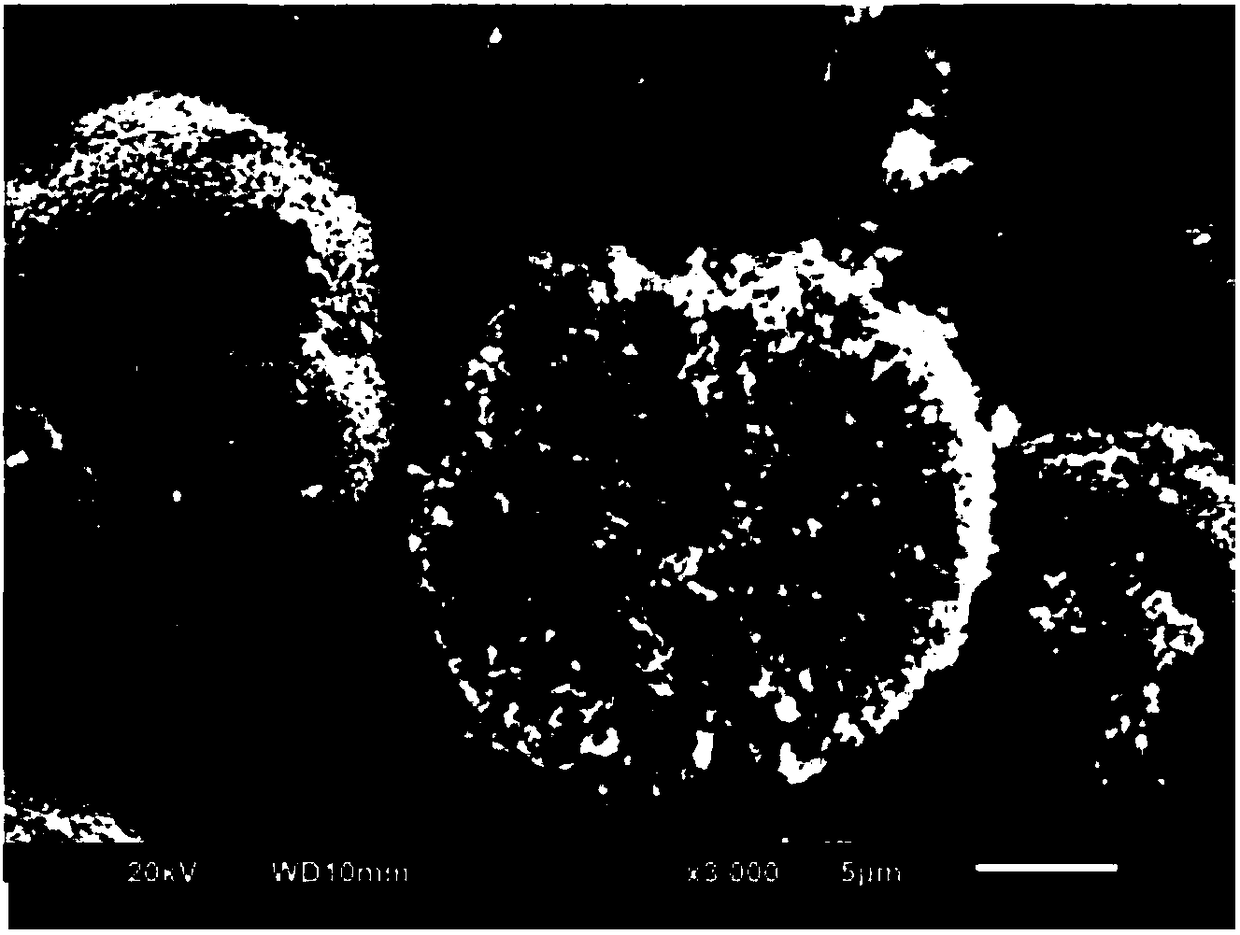 Gradient doped cobaltosic oxide material and preparation method thereof