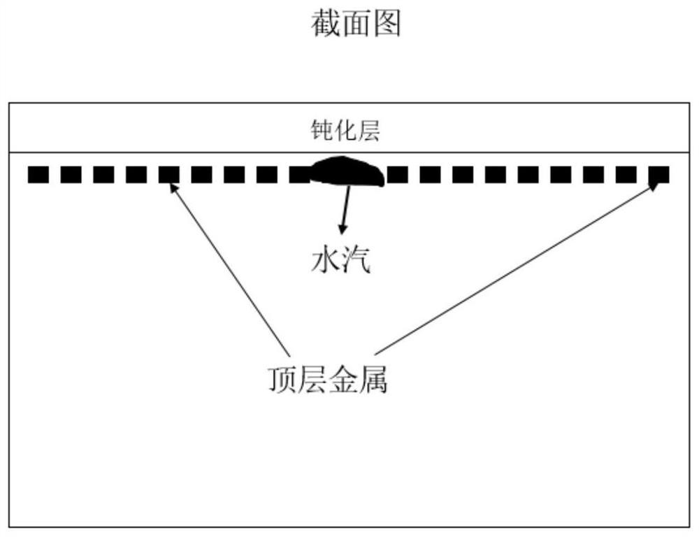 A detection method for wafer passivation layer defects