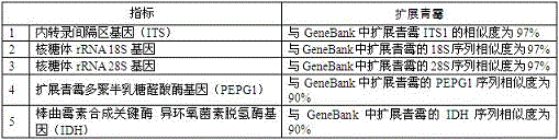 Penicillium expansum nucleotide sequence qualitative standard sample and preparing method thereof