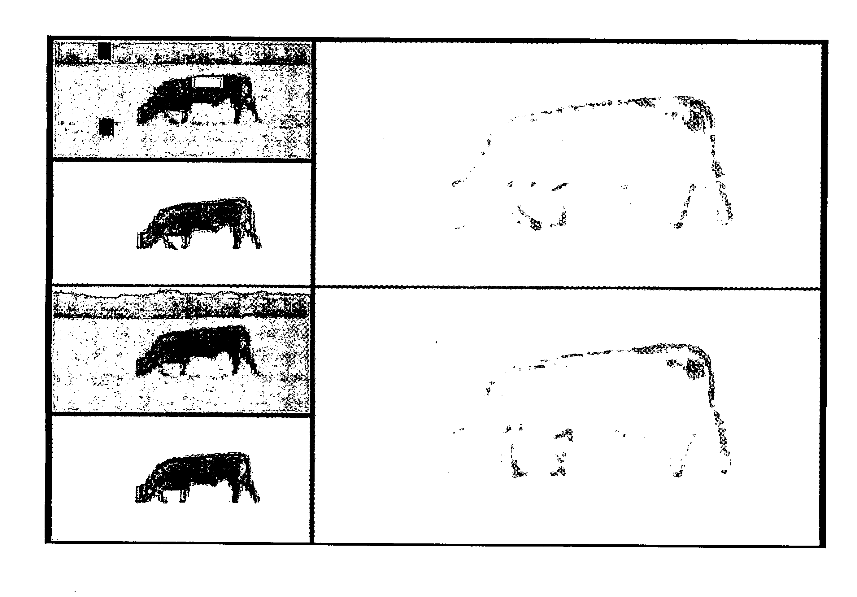 Efficiently labelling image pixels using graph cuts