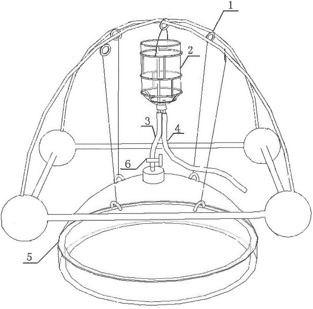 Device for collecting gas released from water body and sampling method thereof