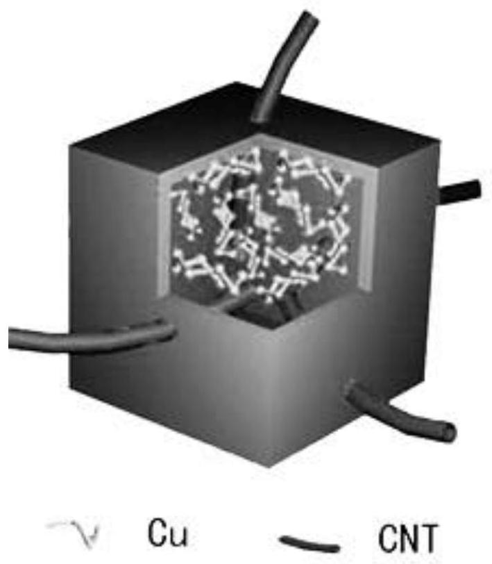 Lithium-sulfur battery negative electrode with high-specific-surface mesoporous protective film as well as preparation and application of lithium-sulfur battery negative electrode