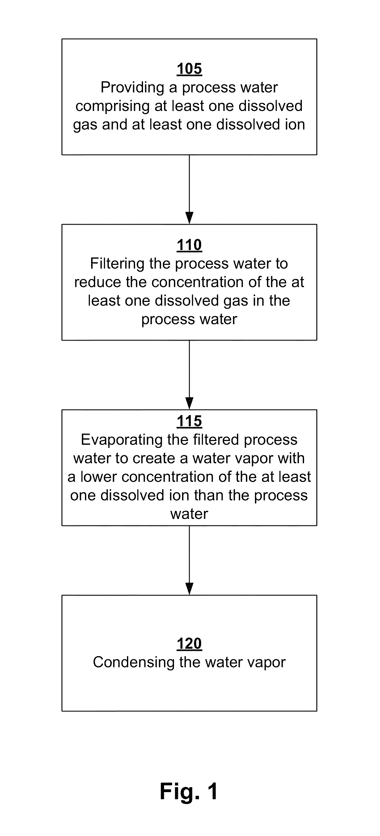 Systems and methods for purifying process water