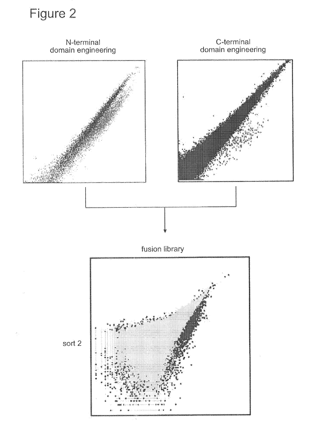 Tim3 homing endonuclease variants, compositions, and methods of use