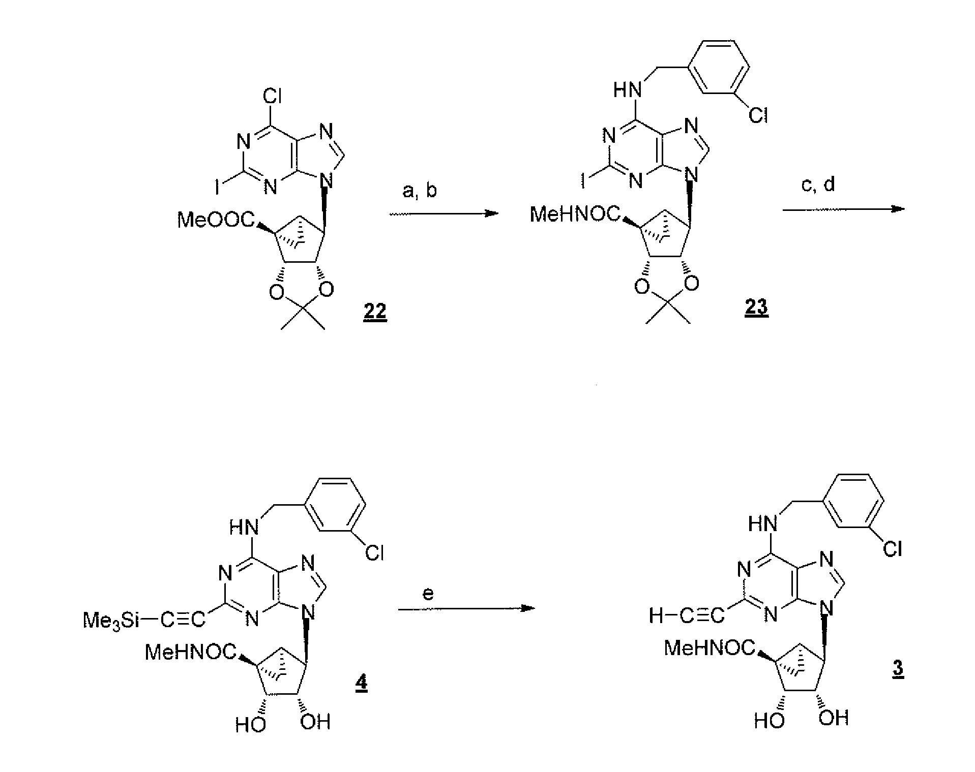 A3 adenosine receptor agonists and antagonists