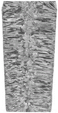 Preparing method for medium-chromium-based ferritic stainless steel low power structure