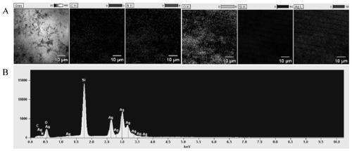 Broad-spectrum antimicrobial mesoporous silica Schiff base silver complex nanomaterial and preparation method thereof