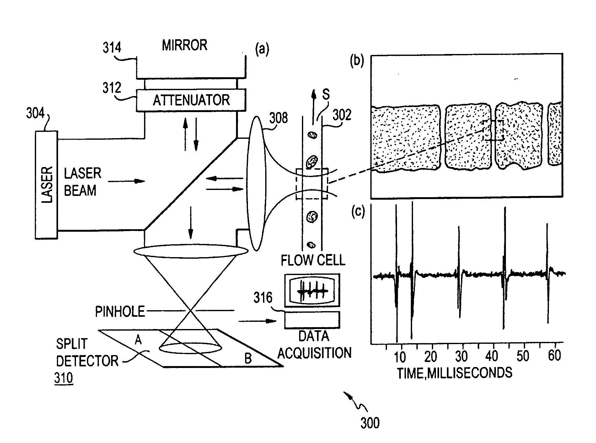 Common-path interferometer rendering amplitude and phase of scattered light