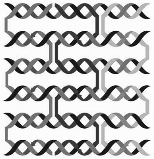 Copper nanocluster synthesized by dna nanoribbon template method, synthesis method and application thereof